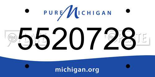 5520728 Michigan License Plate