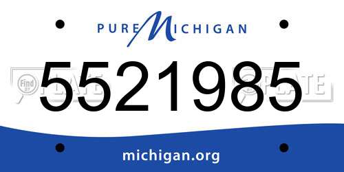 5521985 Michigan License Plate