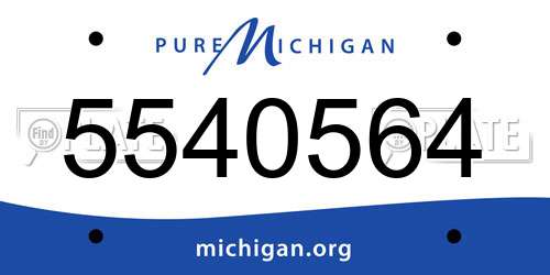 5540564 Michigan License Plate