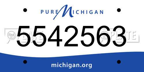 5542563 Michigan License Plate