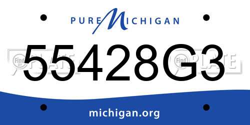 55428G3 Michigan License Plate