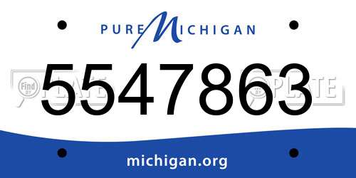5547863 Michigan License Plate