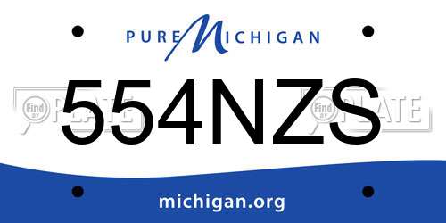 554NZS Michigan License Plate