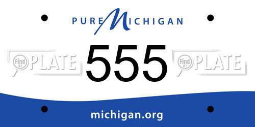555 Michigan License Plate