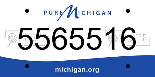 5565516 Michigan License Plate