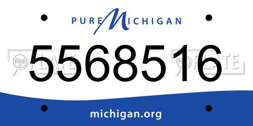 5568516 Michigan License Plate
