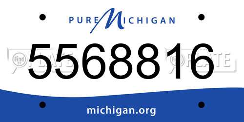 5568816 Michigan License Plate