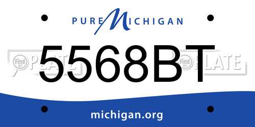 5568BT Michigan License Plate