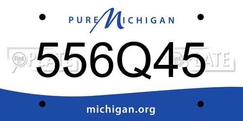 556Q45 Michigan License Plate