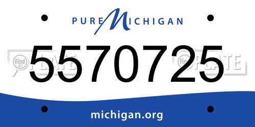 5570725 Michigan License Plate