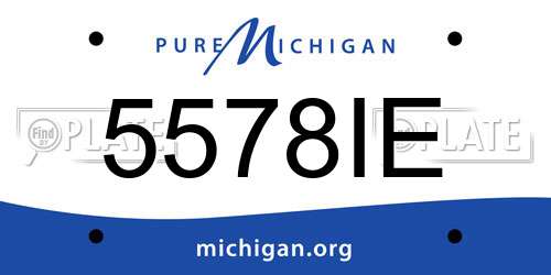 5578IE Michigan License Plate