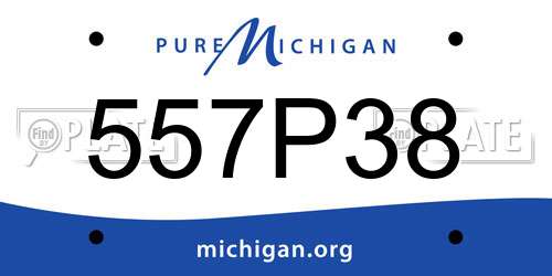 557P38 Michigan License Plate