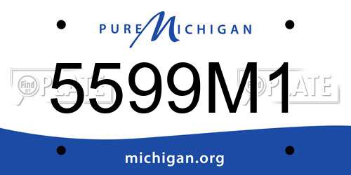 5599M1 Michigan License Plate
