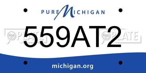 559AT2 Michigan License Plate
