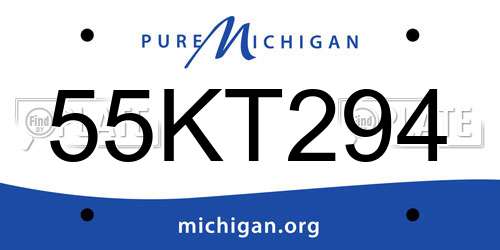 55KT294 Michigan License Plate