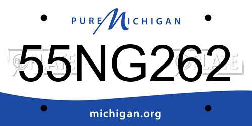 55NG262 Michigan License Plate