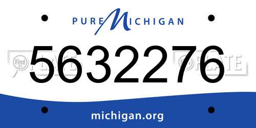 5632276 Michigan License Plate