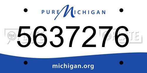 5637276 Michigan License Plate