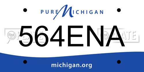 564ENA Michigan License Plate