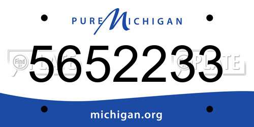 5652233 Michigan License Plate