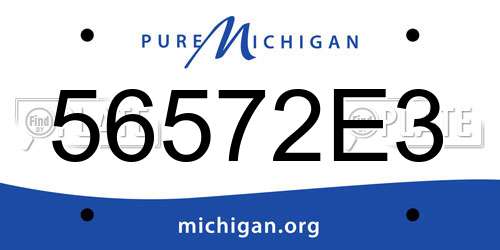 56572E3 Michigan License Plate
