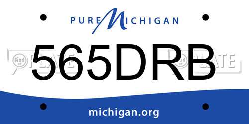 565DRB Michigan License Plate