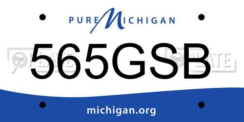 565GSB Michigan License Plate
