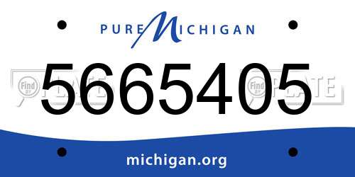 5665405 Michigan License Plate