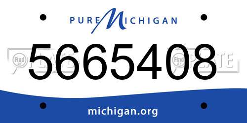 5665408 Michigan License Plate