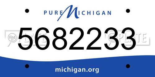 5682233 Michigan License Plate