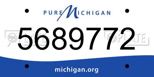 5689772 Michigan License Plate