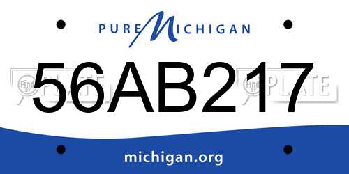 56AB217 Michigan License Plate
