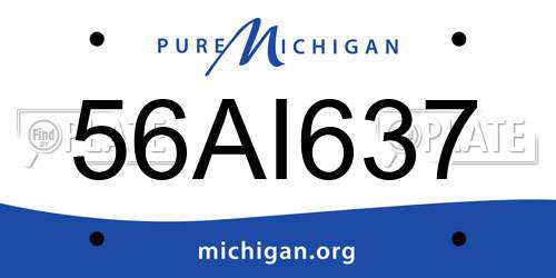56AI637 Michigan License Plate
