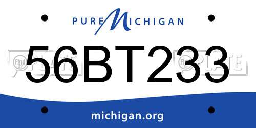 56BT233 Michigan License Plate
