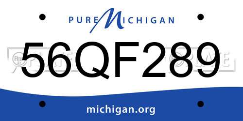 56QF289 Michigan License Plate