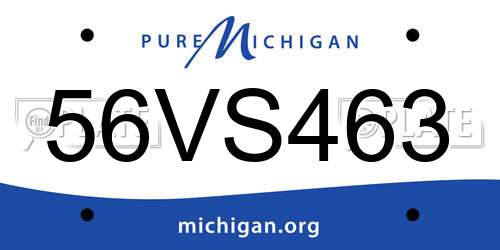 56VS463 Michigan License Plate