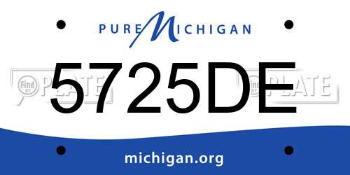5725DE Michigan License Plate