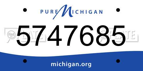 5747685 Michigan License Plate