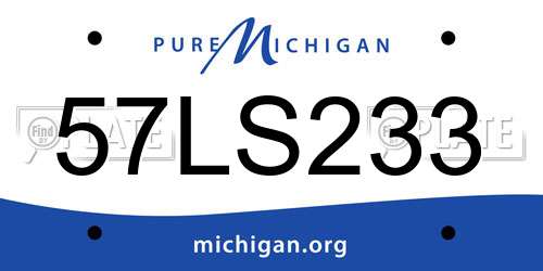 57LS233 Michigan License Plate