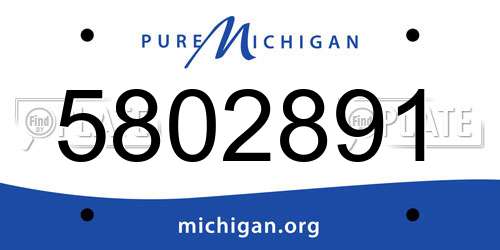 5802891 Michigan License Plate