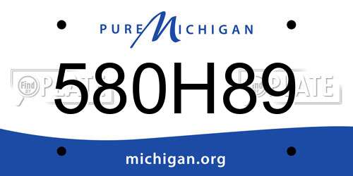 580H89 Michigan License Plate