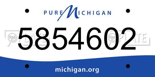 5854602 Michigan License Plate