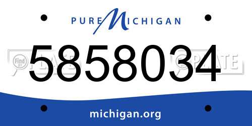 5858034 Michigan License Plate