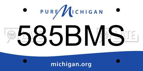 585BMS Michigan License Plate