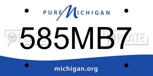 585MB7 Michigan License Plate