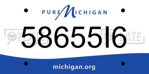 58655I6 Michigan License Plate