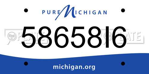 58658I6 Michigan License Plate