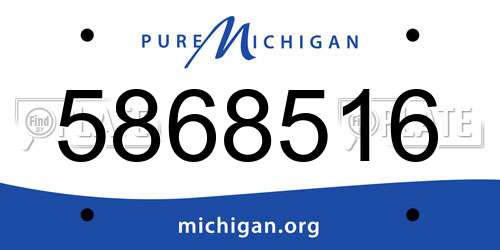 5868516 Michigan License Plate