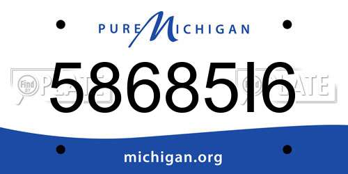 58685I6 Michigan License Plate