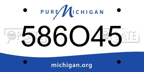 586O45 Michigan License Plate